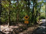 CookeTown/Daintree trail