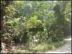 CookeTown/Daintree trail