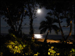 Atherton tablelands and beyond