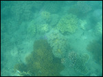 Airlie Beach