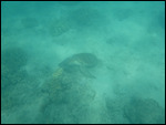 Airlie Beach