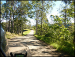 Way south