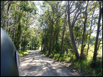 Way south