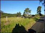 Road south