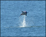 Byron Bay