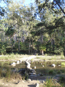 Carnarvon Creek crossing #1