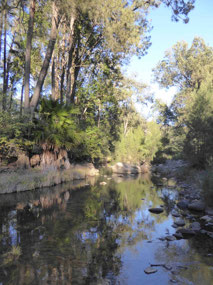 Early morning atmosphere on Nature Trail