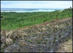 Aitutaki, 19/10/2009