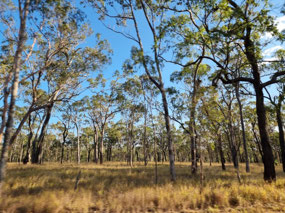 Out into the outback, heading west