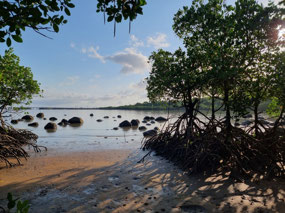 Looking across to Clump Point, Mission Beach