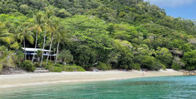 Foxy's at Fitzroy Island