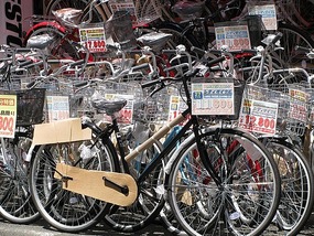 so many bikes