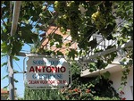 Antonio's Guest House