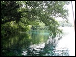 Peaceful springs at Sveti Naum