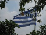 Greek Flag