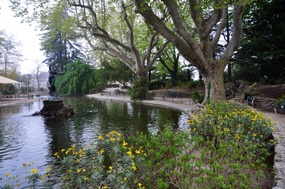 Duck pond in Palace gardens