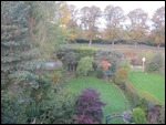 View of the back garden