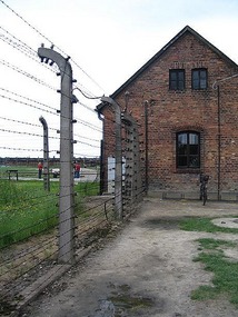 Birkenhau camp