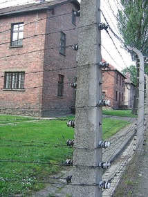 Electrified fence at Auchwitz