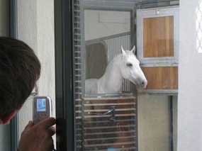 Riding school