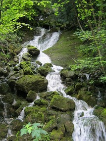 Stream