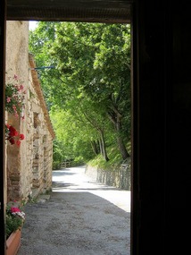 A view from the ancient pharmacy