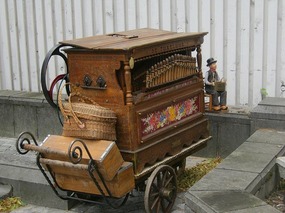 Organ
