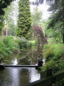 Water Garden