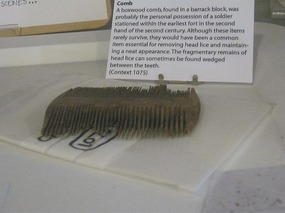 An old nit comb (Is you head feeling itchy?)