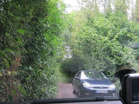 Passing in the hedge-rows