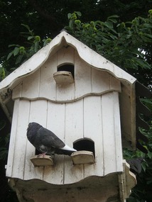 Some other Barnhill Cottage residents