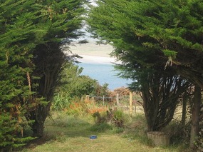 Our garden and view