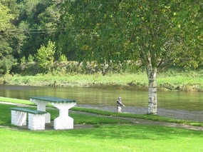 Fishing
