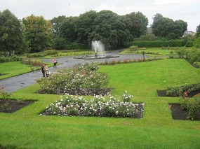 Grounds
