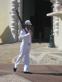 Palace guard