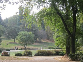 Another garden view