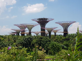 Gardens by the Bay