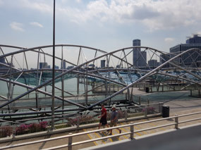 The DNA walking bridge