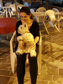 A cute dog owned by the restaurant family