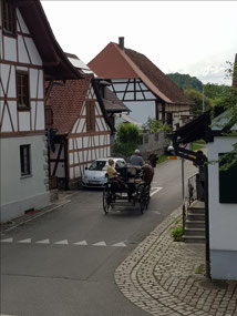Horse and cart by our house
