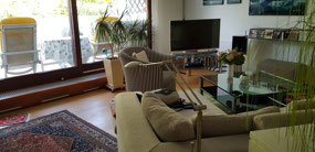 Our lounge and terrace in Berlin