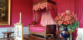 The Orlean's Suite