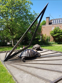 The Turtle Clock