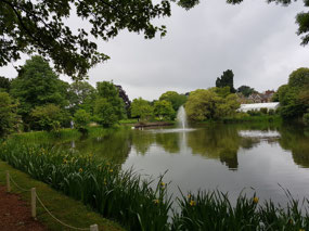 The pond at Bletchley Park (BP)