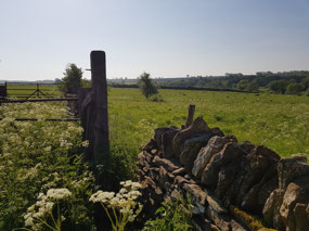 Lovely countryside cache in Morcott