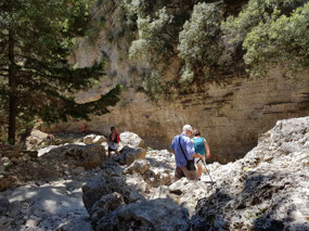 On the way down