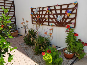 Sue and Jule's garden