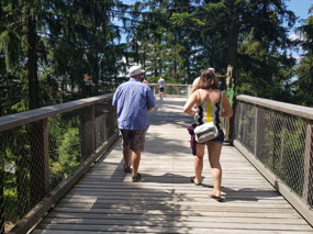 On the treetop walkway