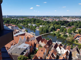 Views from the tower