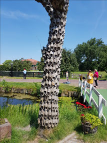 The clog tree in Marken